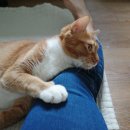 (주)백합사 이미지