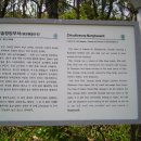망부석