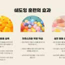 톡톡일대일원어민영어회화 - 김포시 김포한강8로 158 | [김포영어회화] 톡톡일대일원어민영어회화 김포점 포기 없는 맞춤형 코칭 시스템 후기