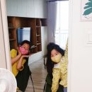 피카소 창의미술작가 이미지