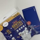 덴탈 케어 시스템 | 강아지치석제거 강아지 덴탈껌 비건간식 오아이오 덴탈케어츄