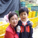 웅포초등학교병설유치원 이미지