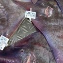 흑산홍어집 이미지