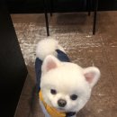 아리따움의정부