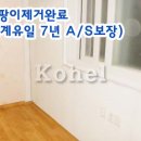 현동법인