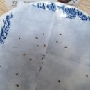 꽃보배스튜디오