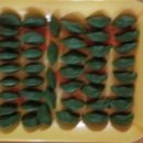 태인농장2 이미지