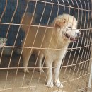 자룡농장 이미지