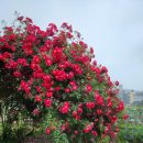 광명농원 이미지