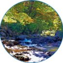 사미정 계곡 권현덕집아래 | 귀농.귀촌을위한 봉화군 BIG6 청정계곡