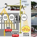 신광초등학교 앞 횡단보도 이미지