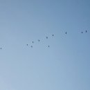 제주느낌 이미지