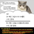 서인천성모의원 | [공지] 아차차 25년 독감예방접종 어디서 하지?서인천성모의원! 감기? 백신? 3가 백신 4가 백신? 그게...