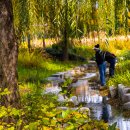 거창창포원 이미지