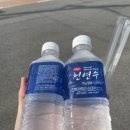 수지할인마트