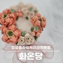 처인구 둔전떡케이크 앙금플라워 떡케이크 전문점 화온당 내돈내산
