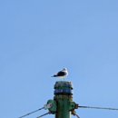 동해활어 이미지