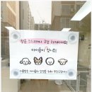 츄펫살롱 네이버블로그