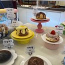 하이도나 이미지