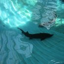 토속어류생태관 이미지