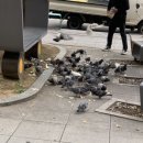 시청광장 이미지