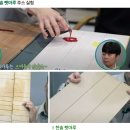 펫마루 이미지