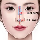 엄지연합의원 이미지