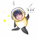 A baby fur-seal ?•??•? 이미지