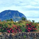 제주산방산황토펜션 이미지