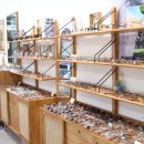 봄안경원 이미지