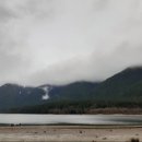 목단(100호) 이미지