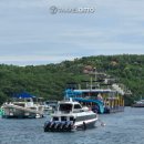 자야 | 길리에서 누사페니다 배편 예약 방법 에카자야 페리 후기