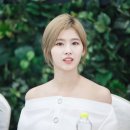 네이처컬렉션 Daum카페