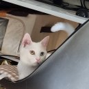 솔향펜션 이미지