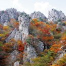 제622차(15-42) 오대산/대둔산 대토 12주년 기념산행(2015. 10. 17.) 공지 이미지