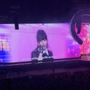 워킹포드림 | SM 30주년 기념 SMTOWN LIVE 2025 in SEOUL 후기 : 엉딩이에 땀 찼다 💦💦💦