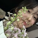 피크스튜디오 네이버블로그