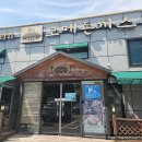 박촌강아지 이미지