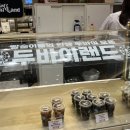 콩이랑 초이랑 이미지