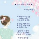 사랑이 머무는 미래 이미지