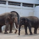 달성공원 이미지