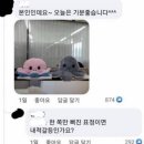 인형세상 이미지