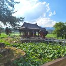 유호네 돈까스 이미지