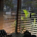 전주를그리다 이미지