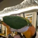 케이팝 노래연습장 이미지