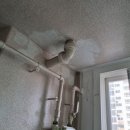 청솔바이오 이미지