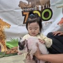 작은동물원 이미지