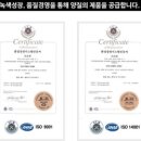 인앤데코