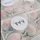 6시 내고향 경남 거창전통시장, 장어곰탕·구이용 민물장어, 피순대, 쌀술빵