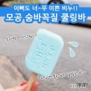 민트파파 이미지